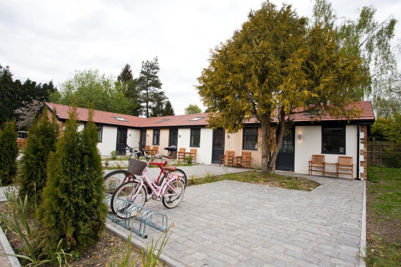 The Bearded Goat Den - A Rural Retreat At This Modern Holiday Cottage Saint Leonards Eksteriør billede