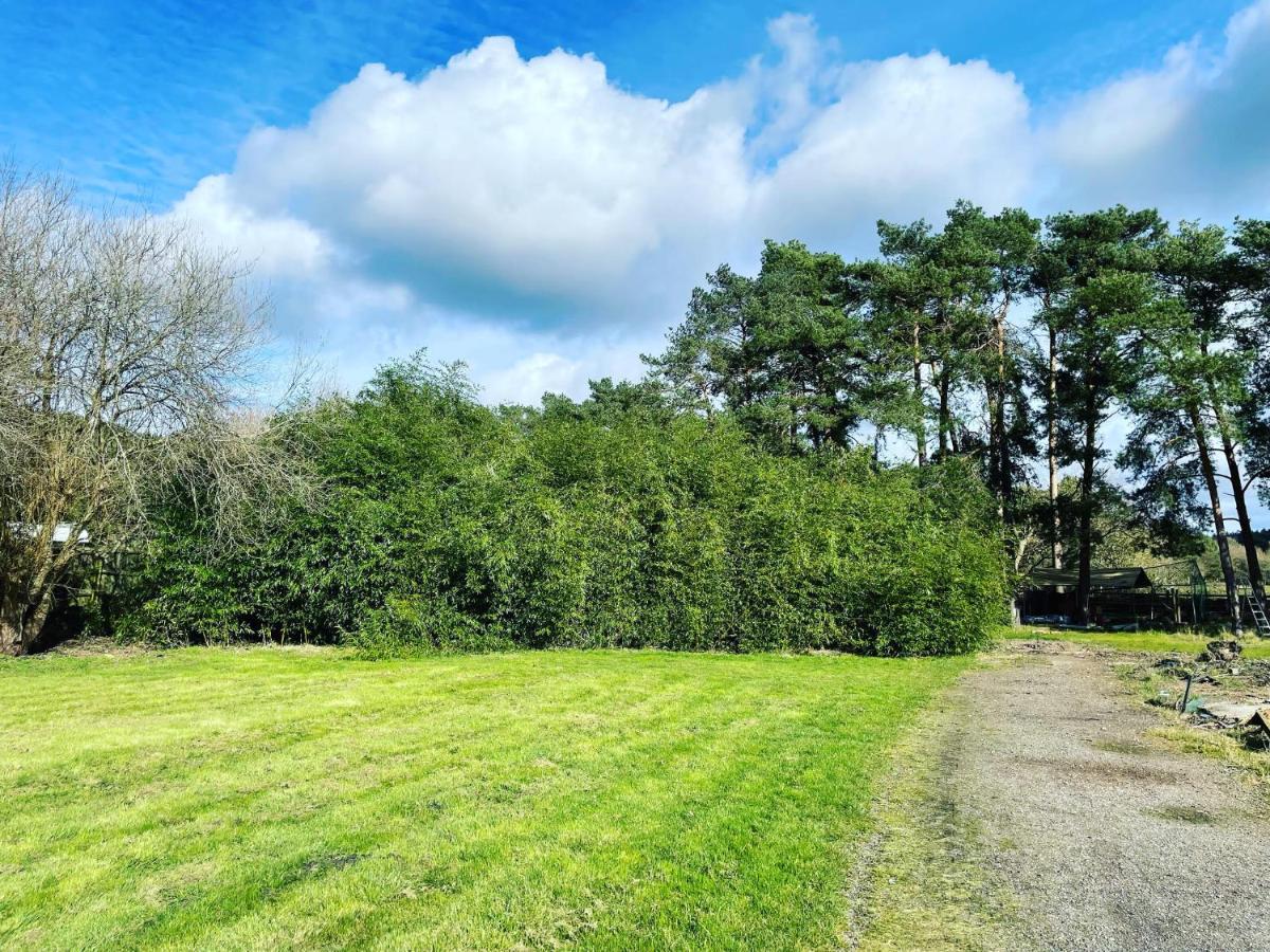 The Bearded Goat Den - A Rural Retreat At This Modern Holiday Cottage Saint Leonards Eksteriør billede
